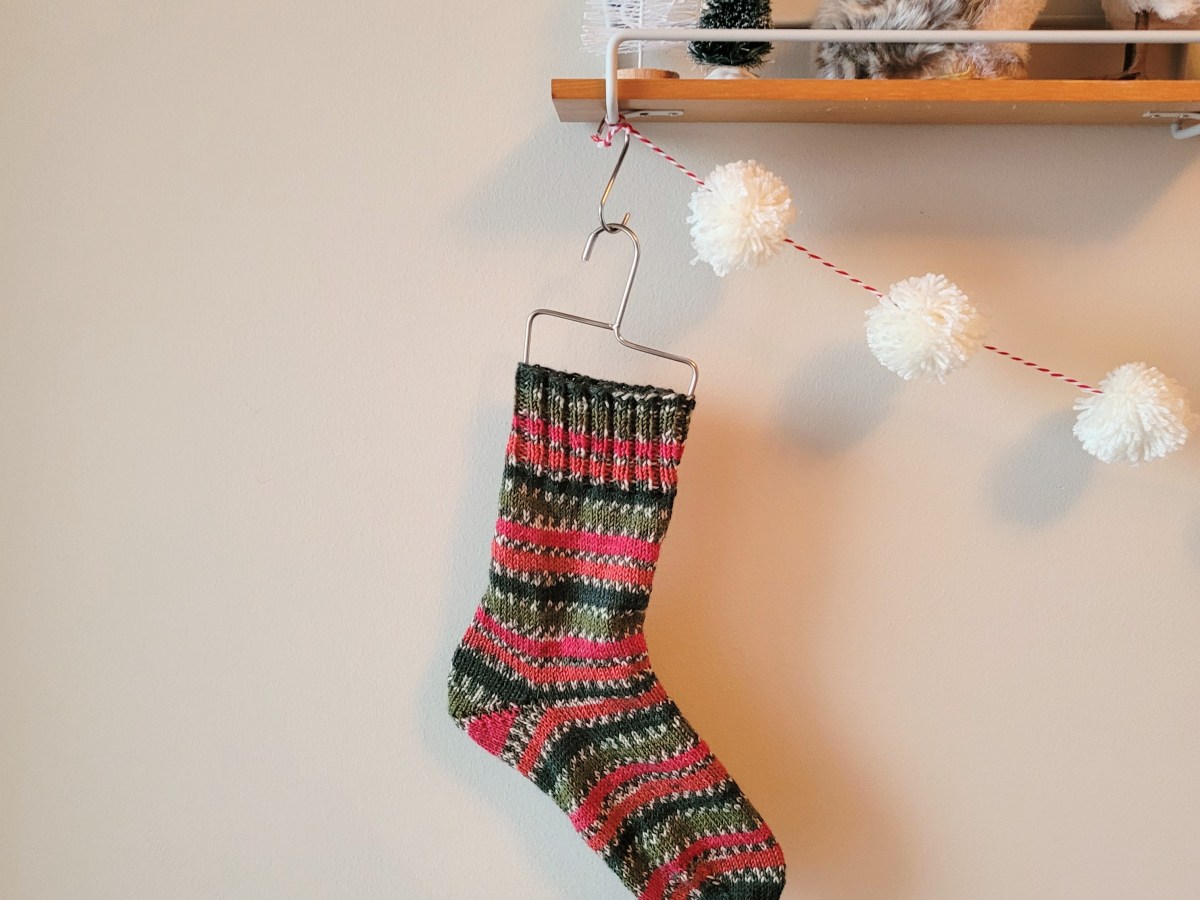 The Year of the&nbsp;Sock